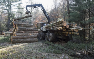 The cost of the project is partly offset by the sale of logs and partly by funds from a federal conservation program.