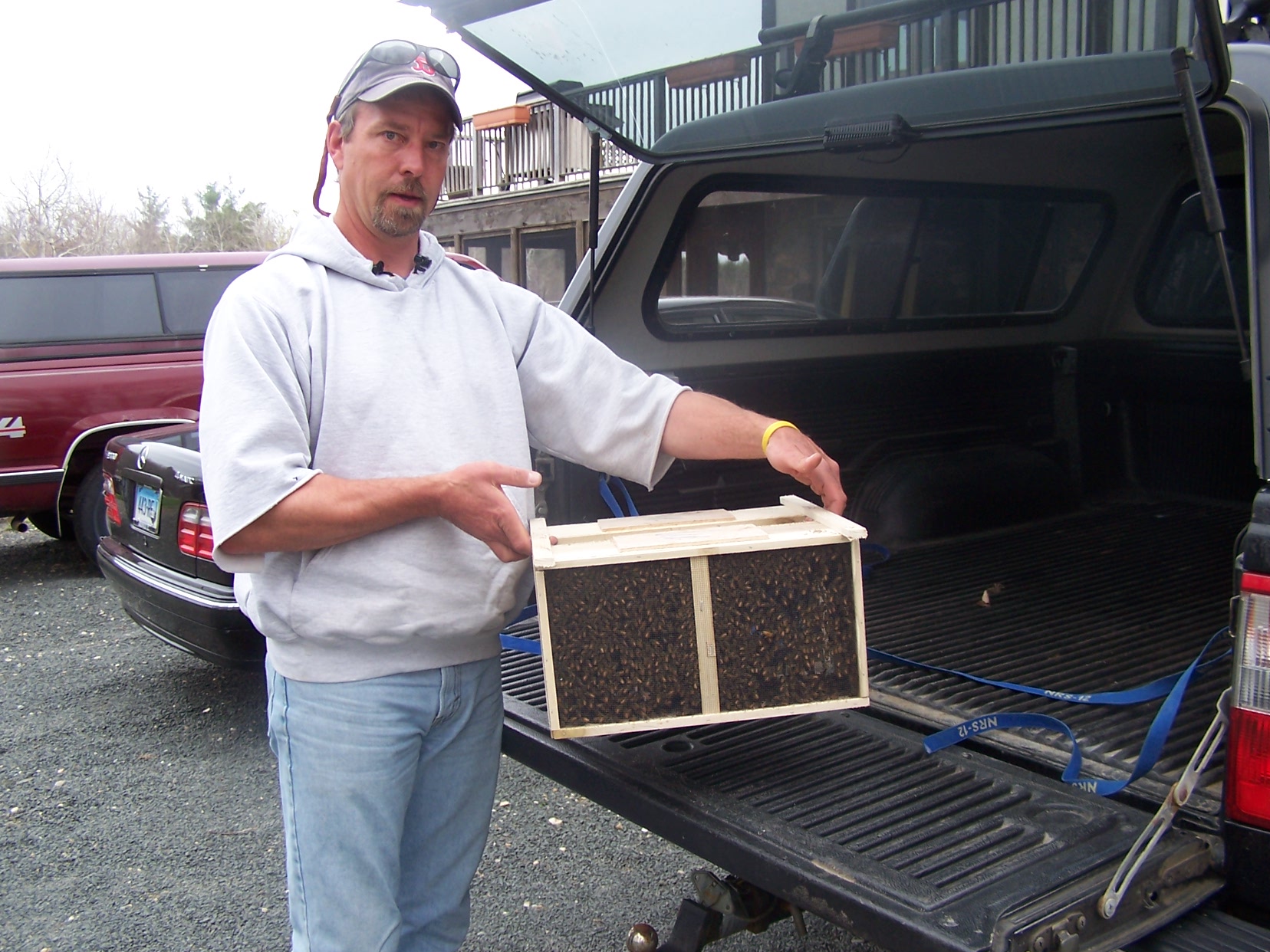 What’s the Buzz?  Beekeeping in Norfolk