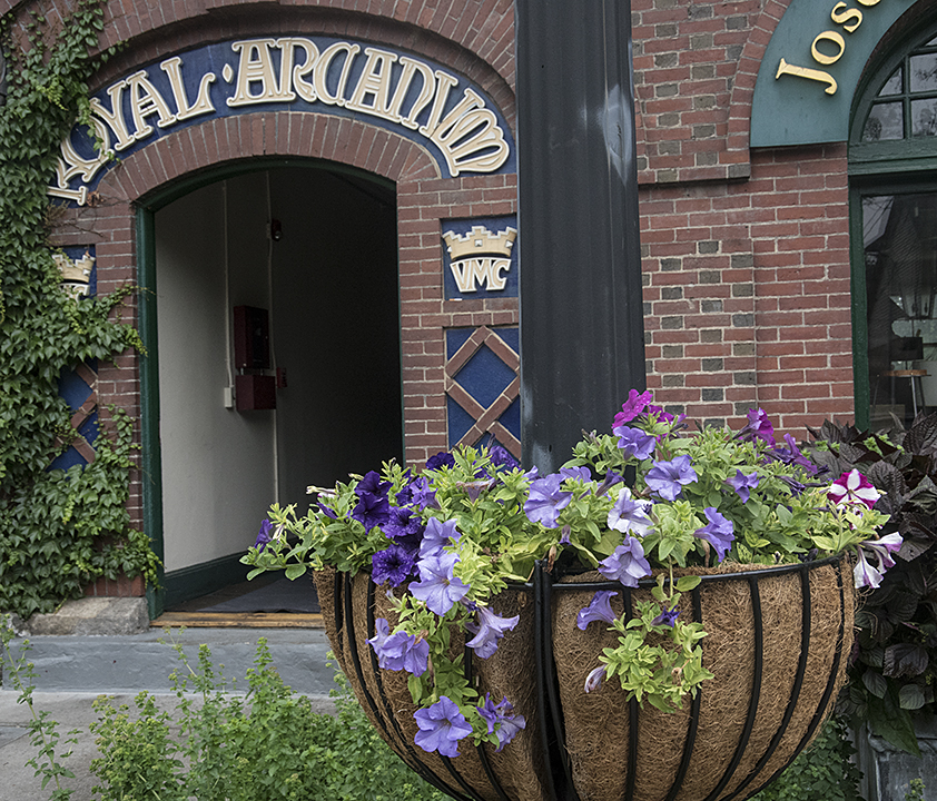 New Planters Adorn Station Place