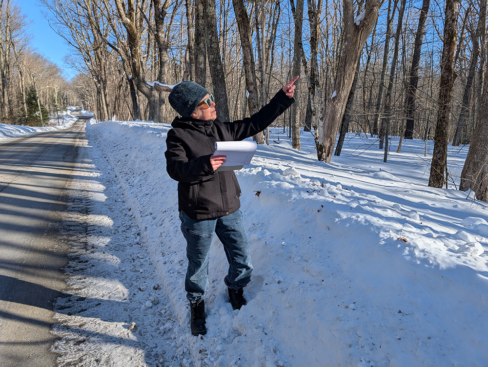 Tree Cutting by Town Raises Concerns