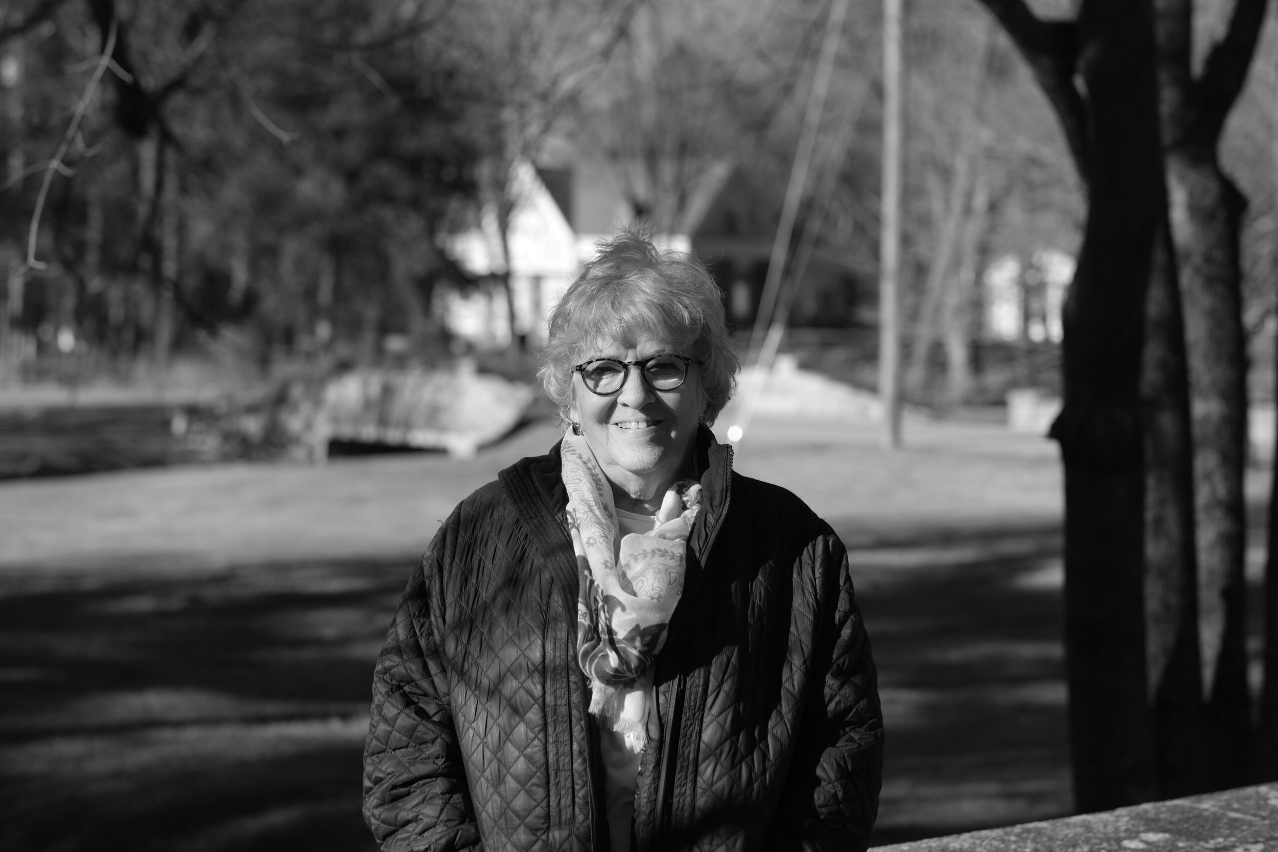 Linda Anne Soltis Perkins