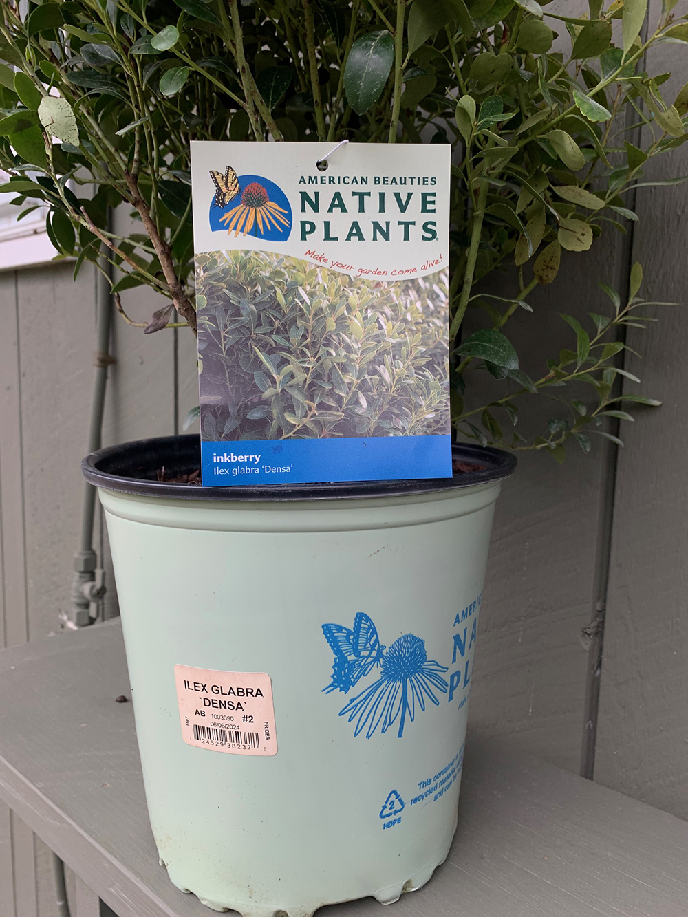 Cultivars, Nativars and Natives: The Lowdown