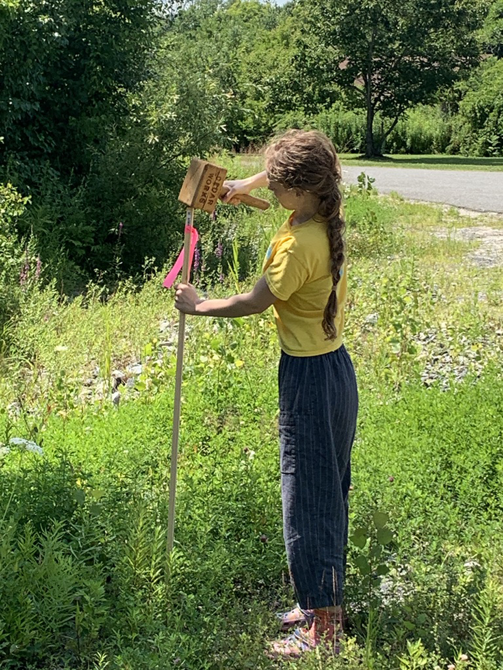 IT’S ONLY NATURAL: Conservation Commission and Public Works Team Up on Invasives