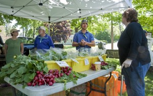 Radishes and other early-season crops from the Chubby Bunny Farm at a recent farmers market.