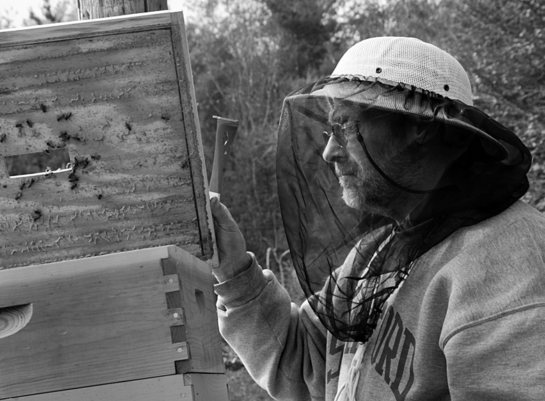 It’s a Tough Life For Beekeepers
