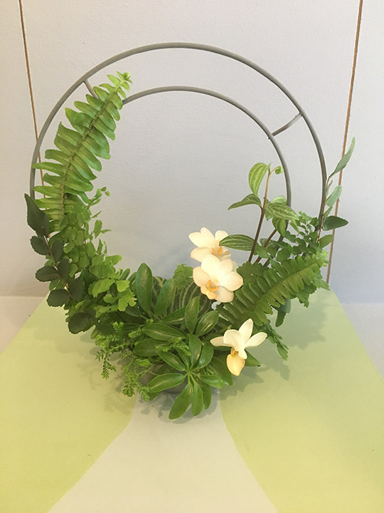 Christina Vanderlip Awarded a First Prize in Garden Club Show