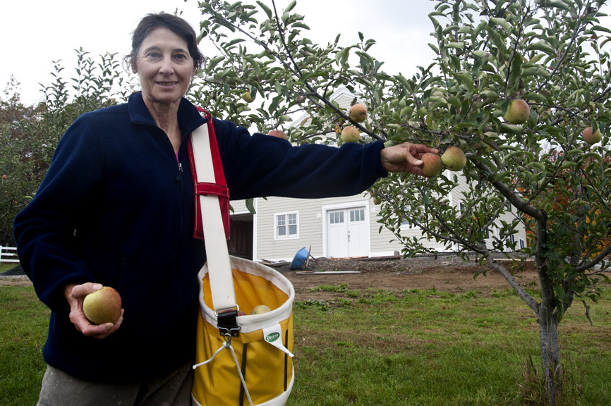 Entrepreneurial Farmer Creates Organic Orchard in Norfolk