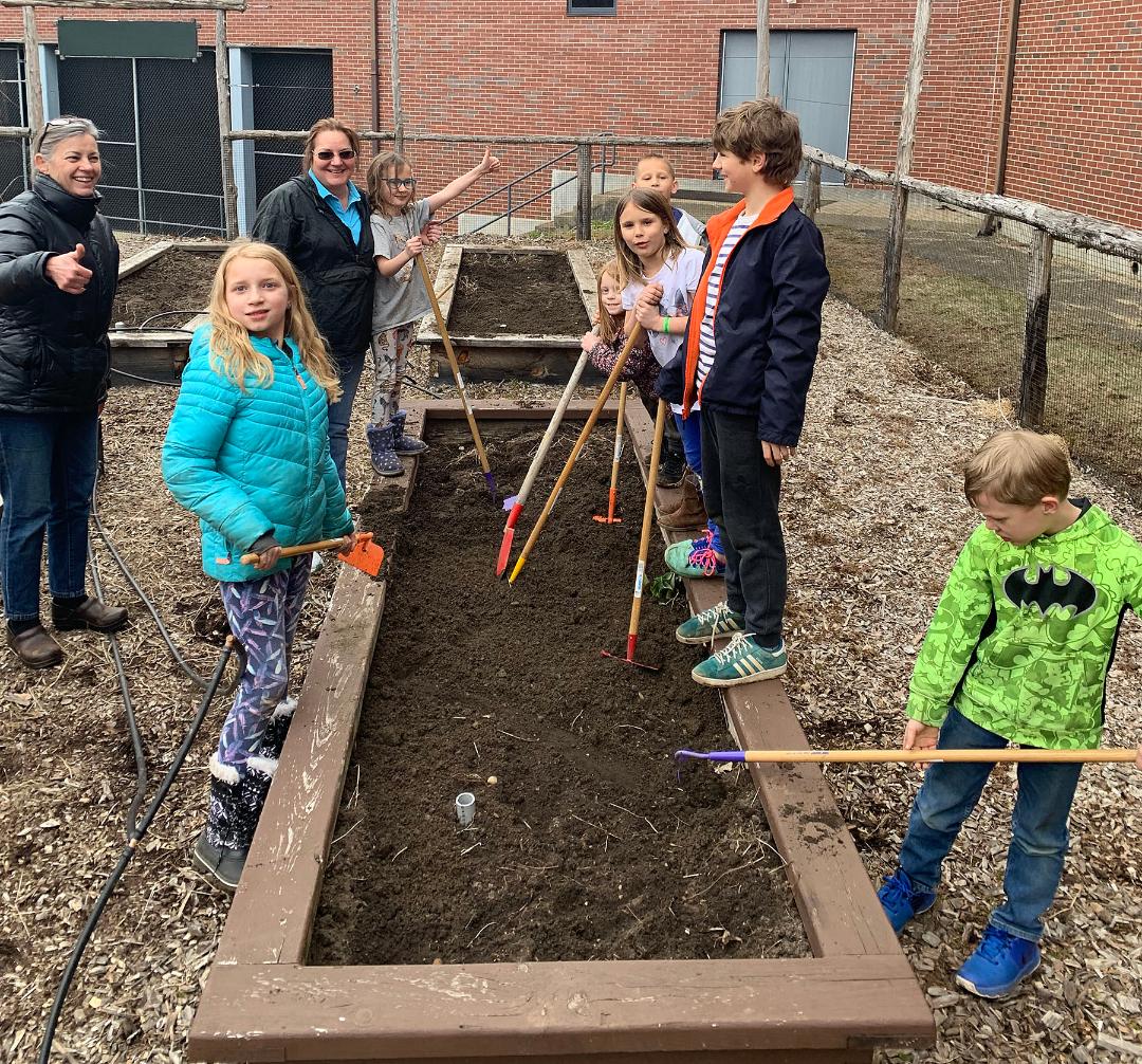 Spring Cleaning for a Summer Garden