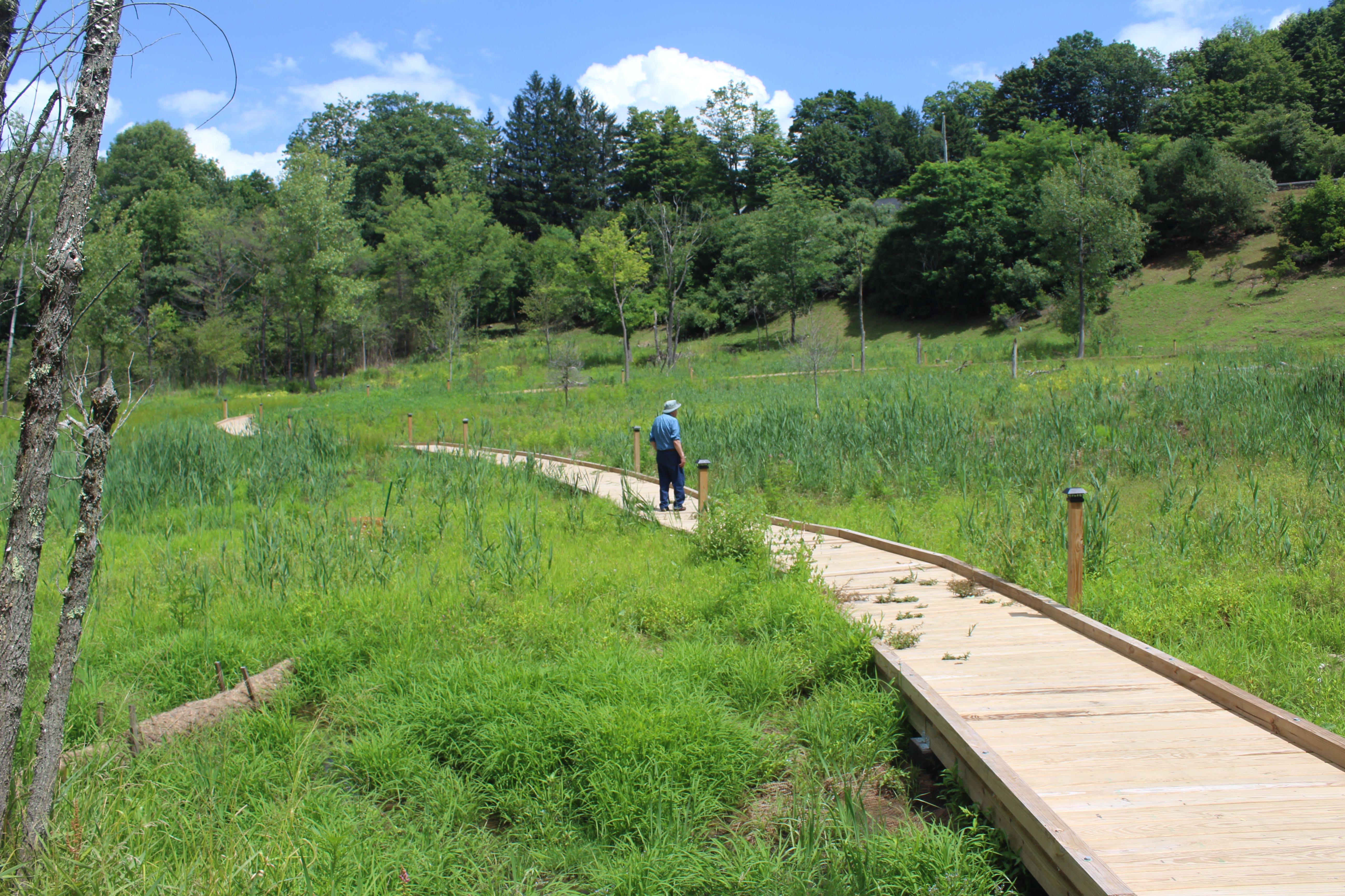 City Meadow: Town Takes First Steps Toward Phase Two