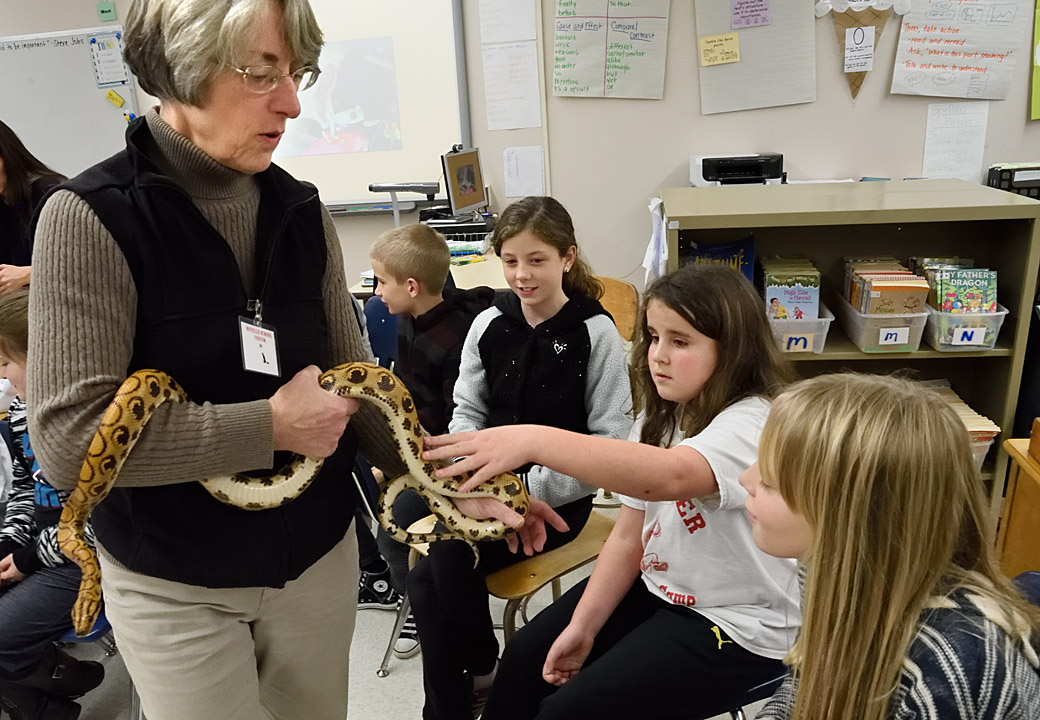 Norfolk Fourth Graders Get Up Close With Nature