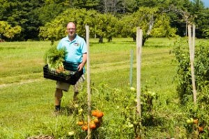 Steve Archaski harvests vegetables for the farm's commercial and private clients.