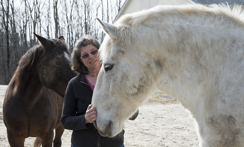 Beth Podhajecki is moving her Loon Meadow Farm out of Norfolk for greener pastures. The quaint and serene sight of horse and carriage rides through th village is coming to an end this month. Photograph by Bruce Frisch