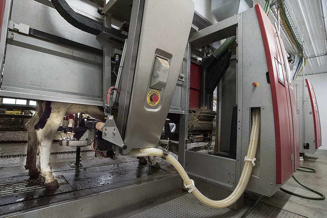 A Third-Generation North Canaan Dairy Adopts Cutting-Edge Technology
