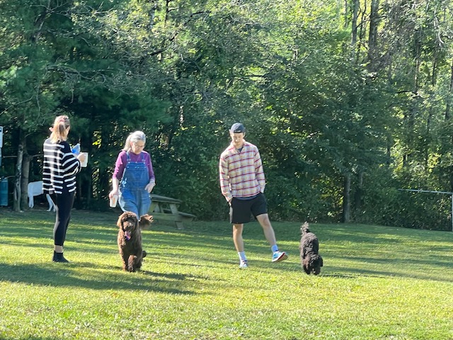 Off-Leash Dog Park Proposed