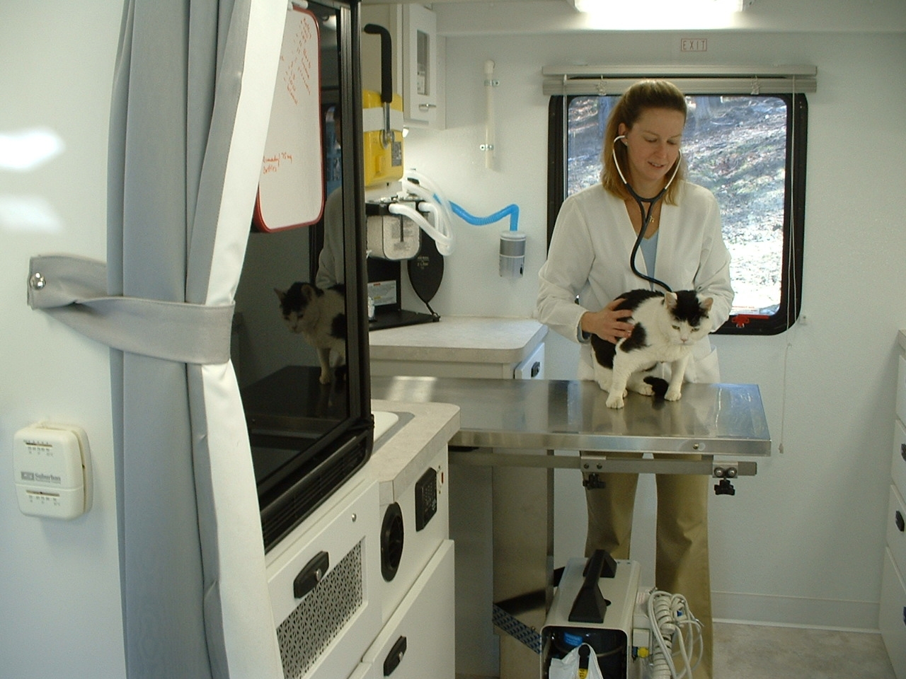 Kim Maynard is Norfolk’s Traveling Vet