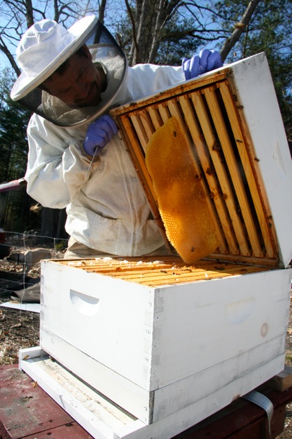 Beekeeping in the Northwest Corner