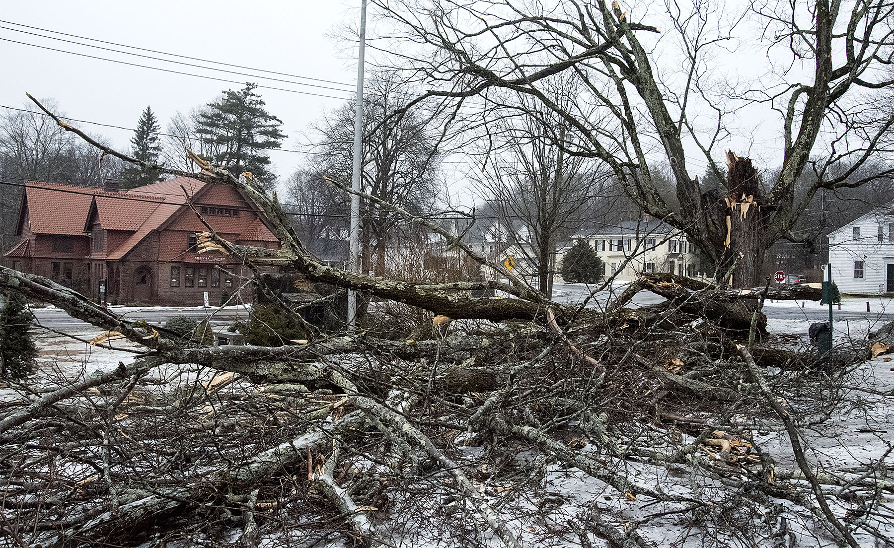 Ice Storm Hits Norfolk in December