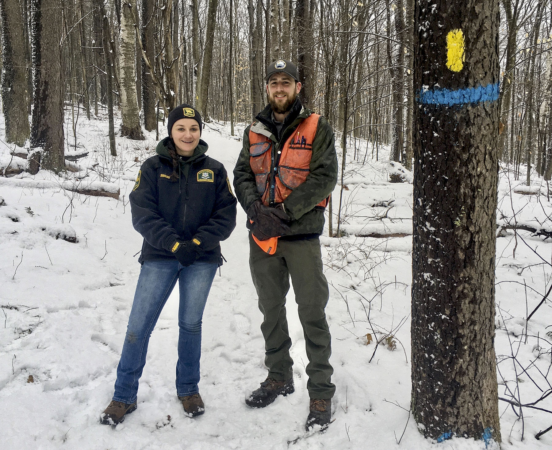 Tree Cutting at Haystack Mountain State Park