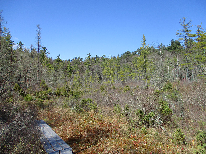 Tobey Bog: The Centrality of Marginal Places