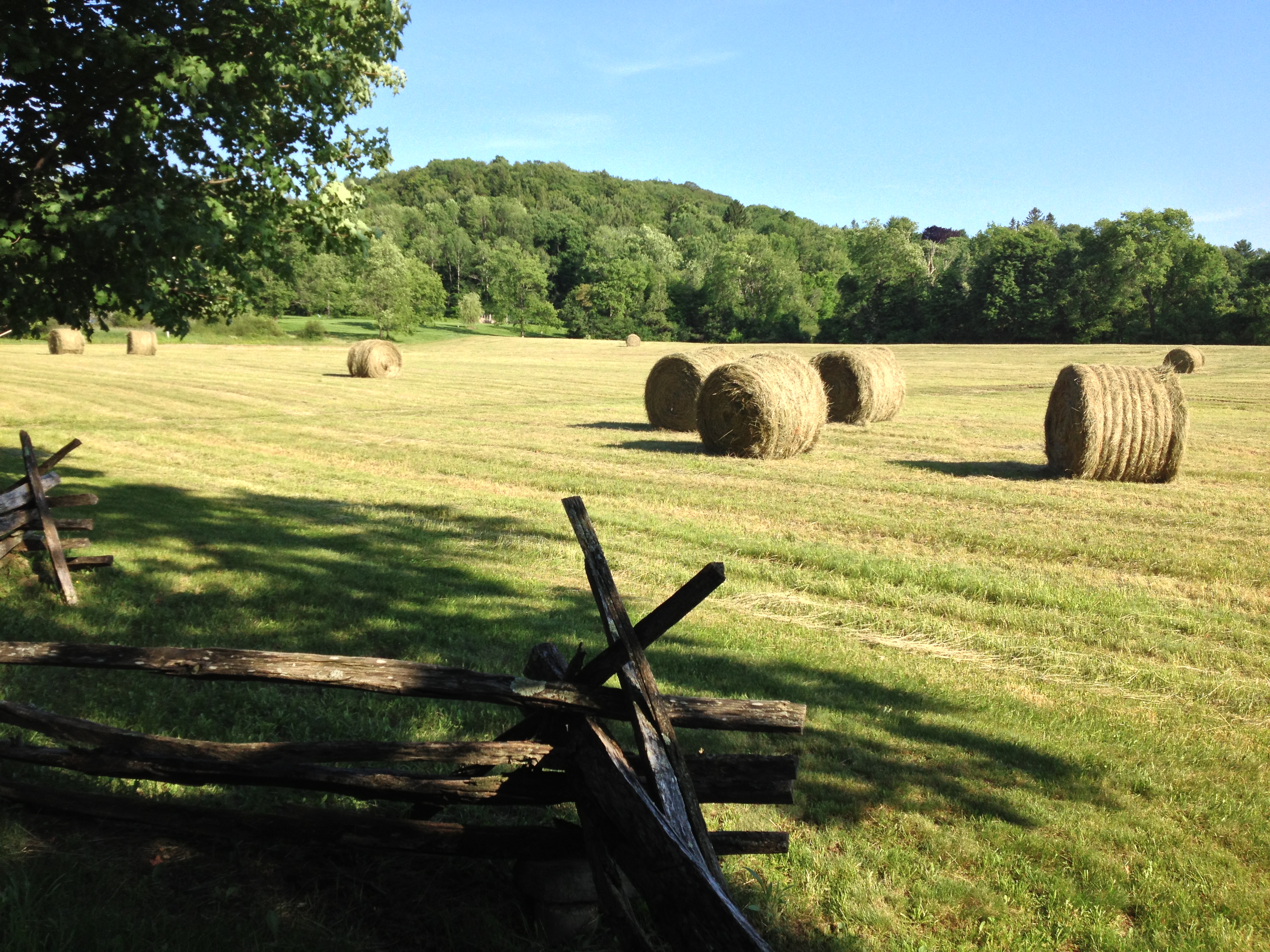 Sunshine and Haymaking