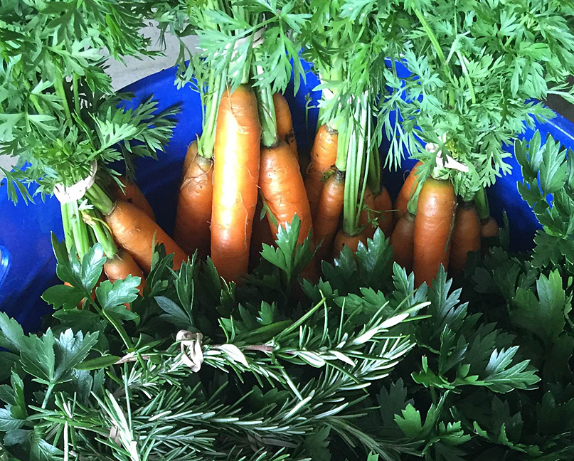 Enhancing the Norfolk Food Pantry