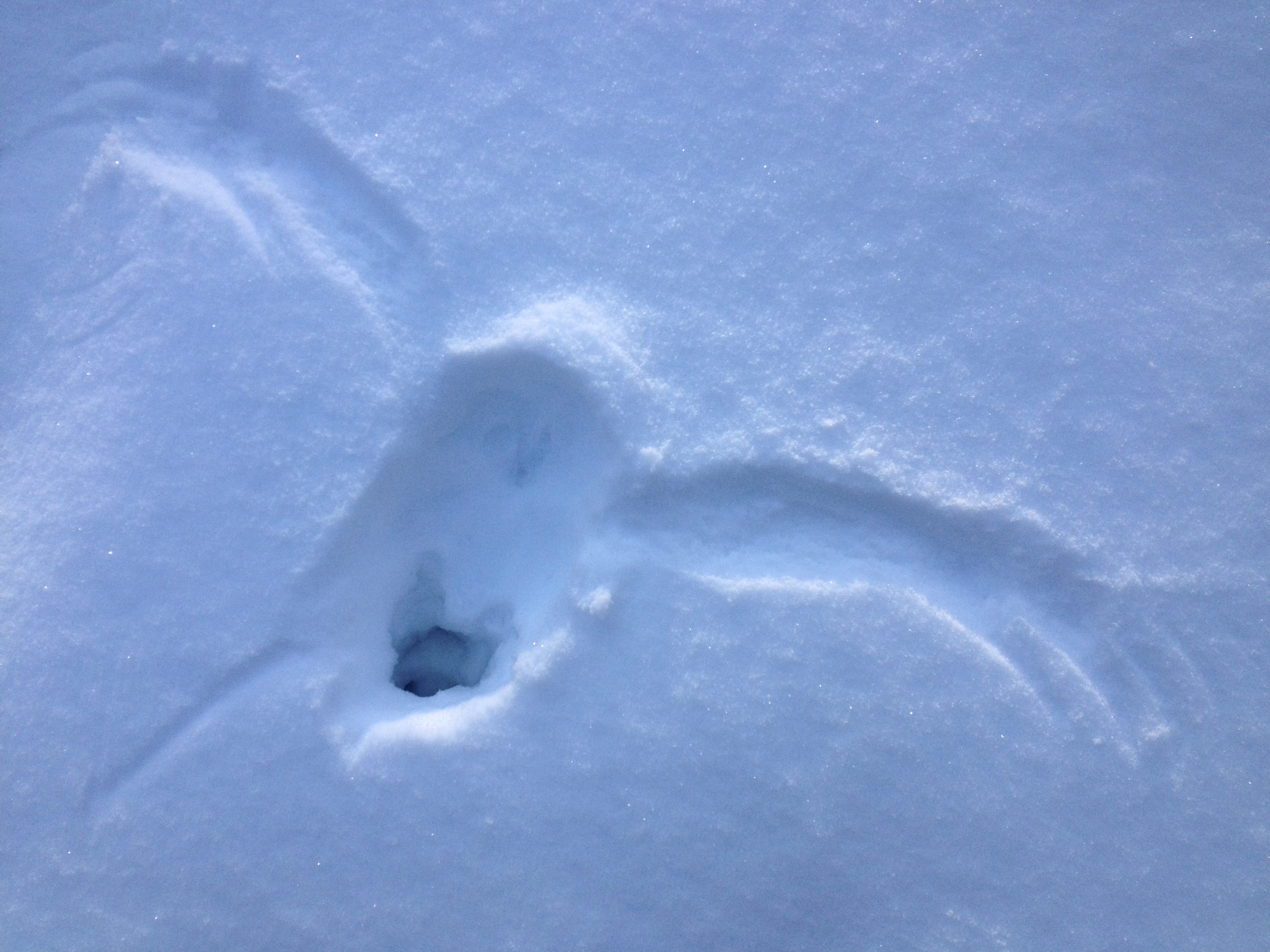 Face Plant!