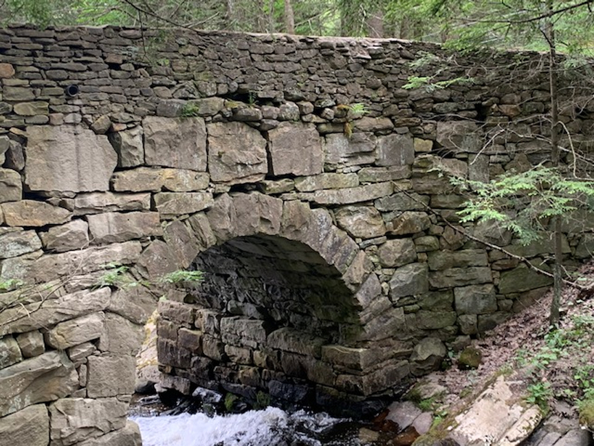 A Beautiful Piece of Norfolk History in the Woods