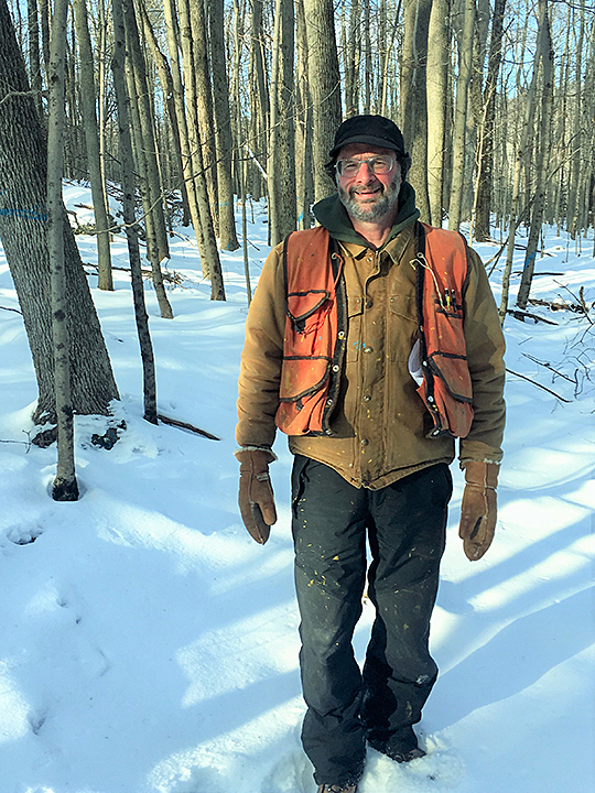State Harvests Ash Trees at Dennis Hill State Park