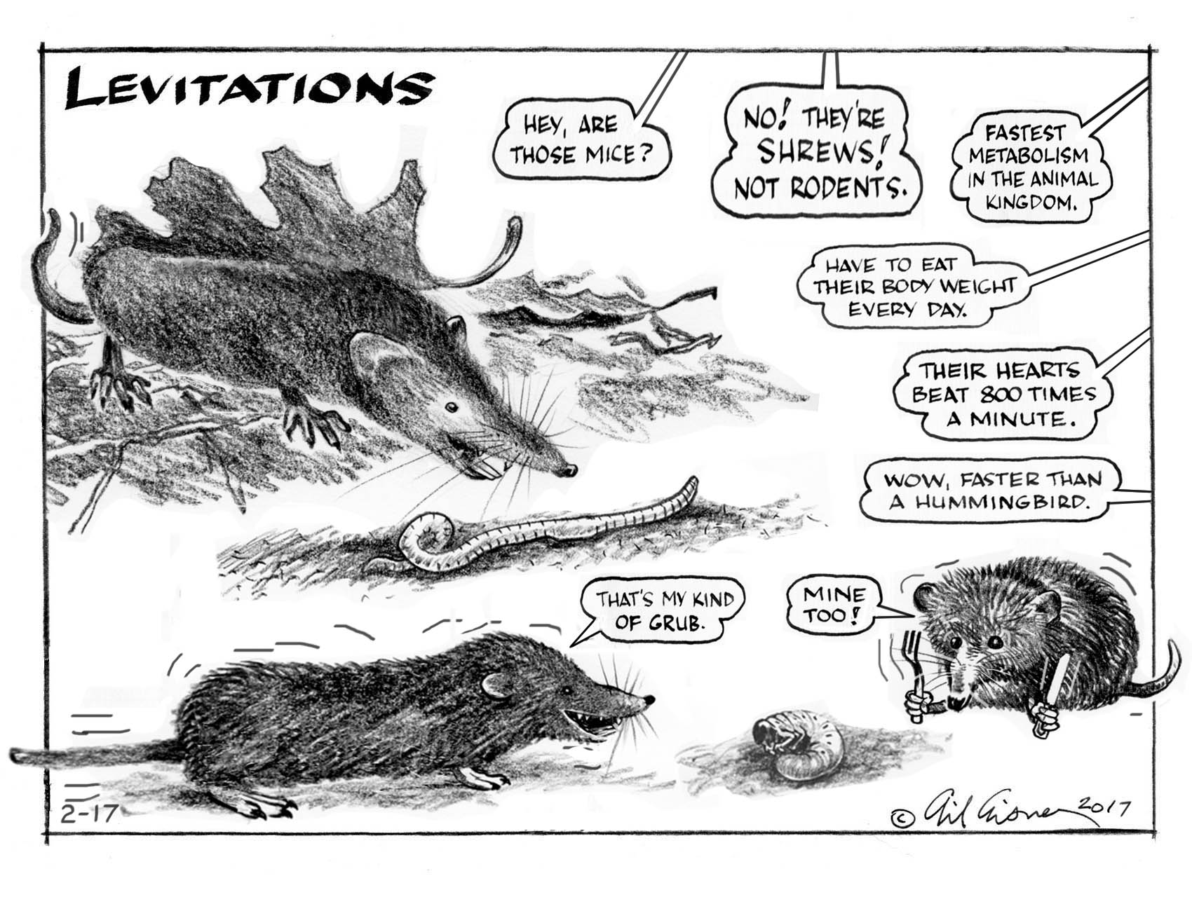 Levitations