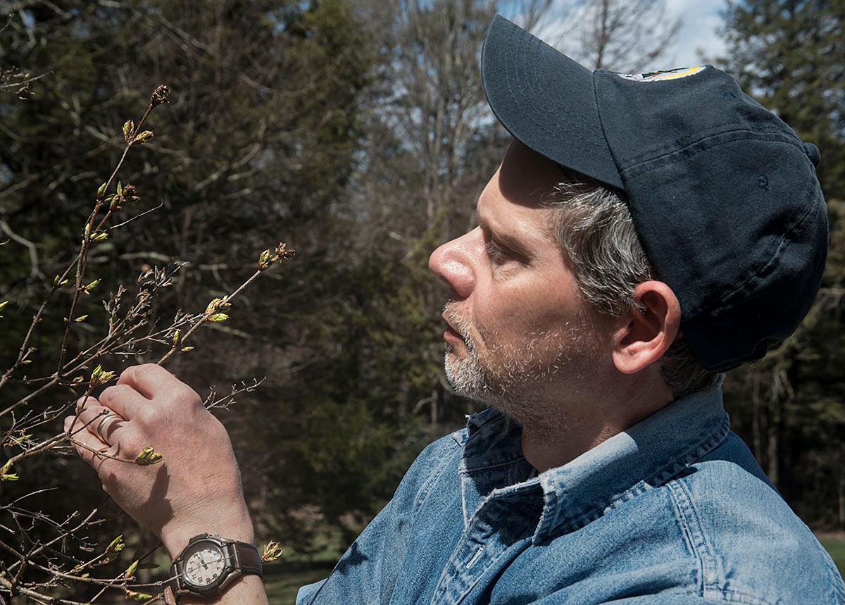 Peeping at Spring Leaf-Out
