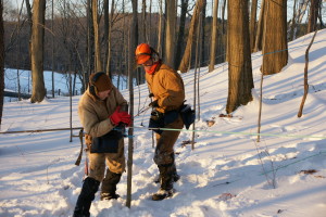 Setting out tubing.