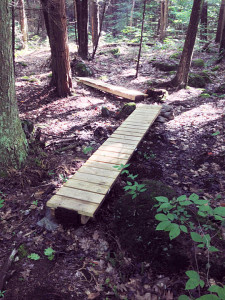 A bridge over a muddy section of the trail, built by the Norfolk Land Trust.