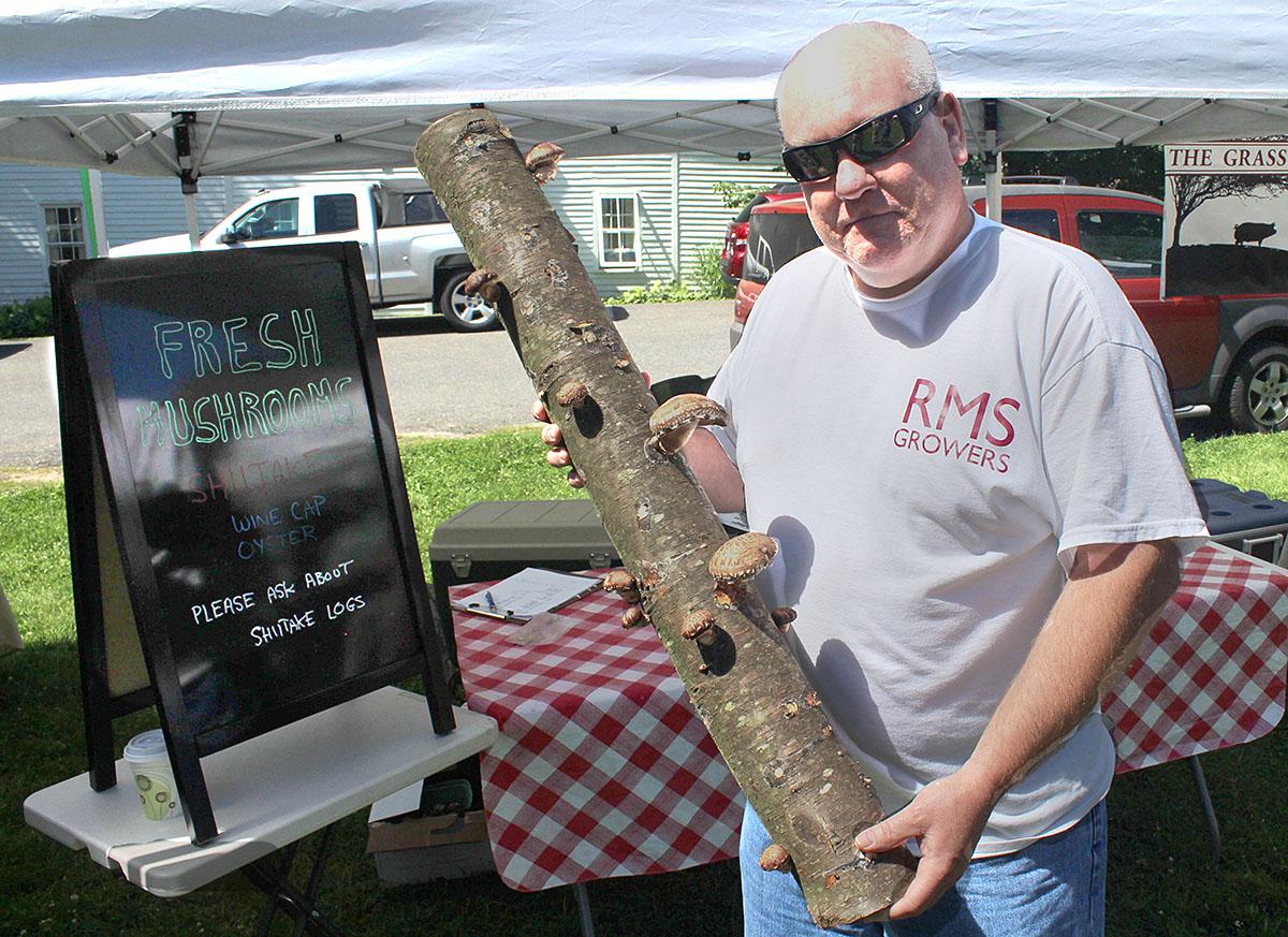 Growing Shiitakes for Fun and Profit
