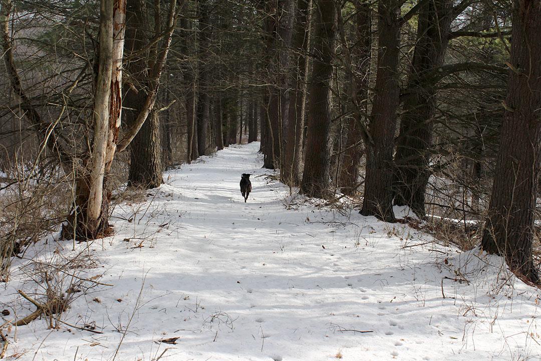New Section of Rail Trail to Be Opened for Winter WIN