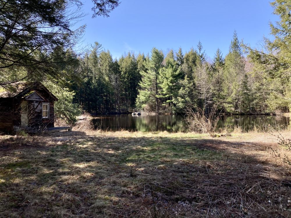 Norfolk Land Trust Acquires 235 Acres in South Norfolk