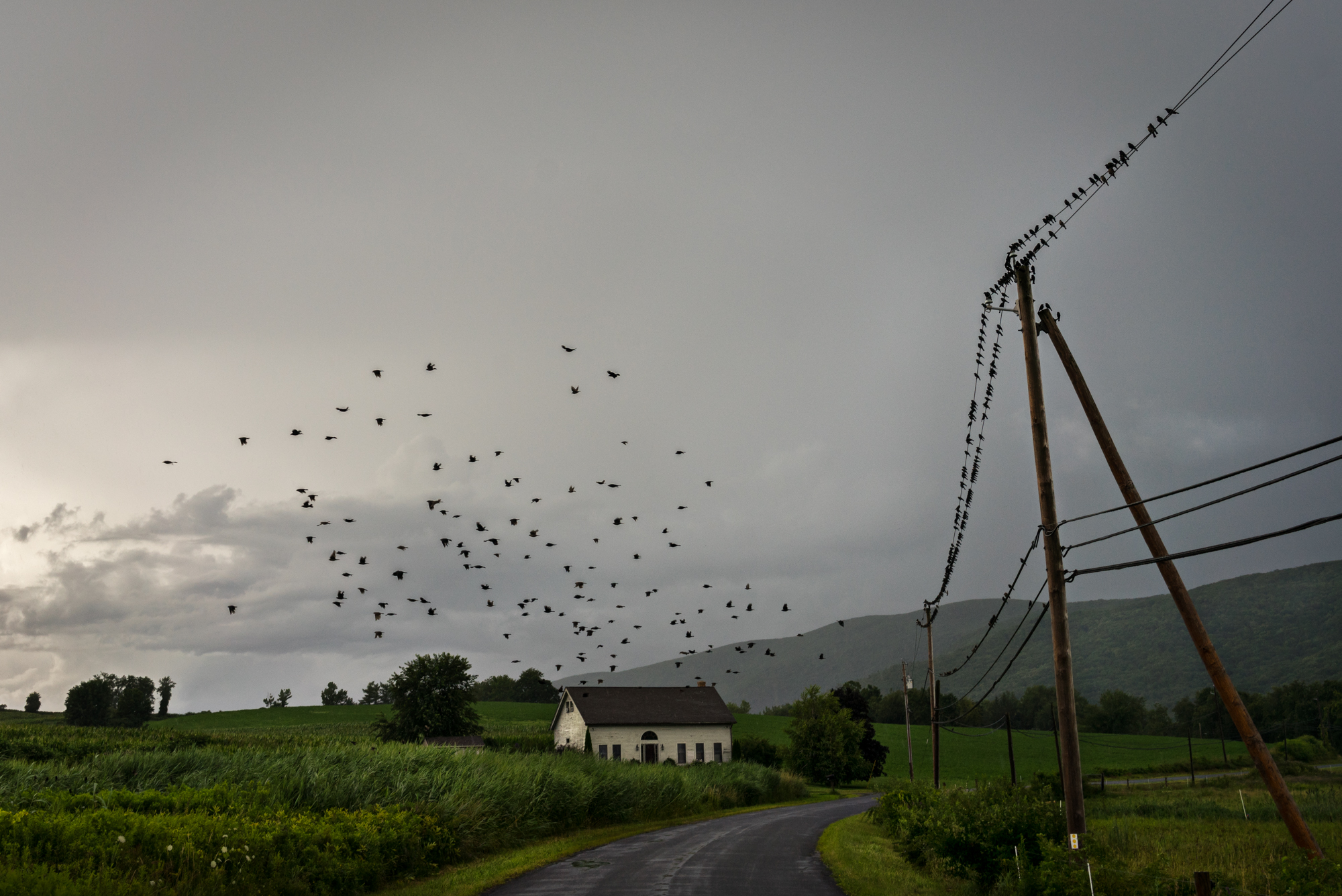 Photographing a Long and Winding Road