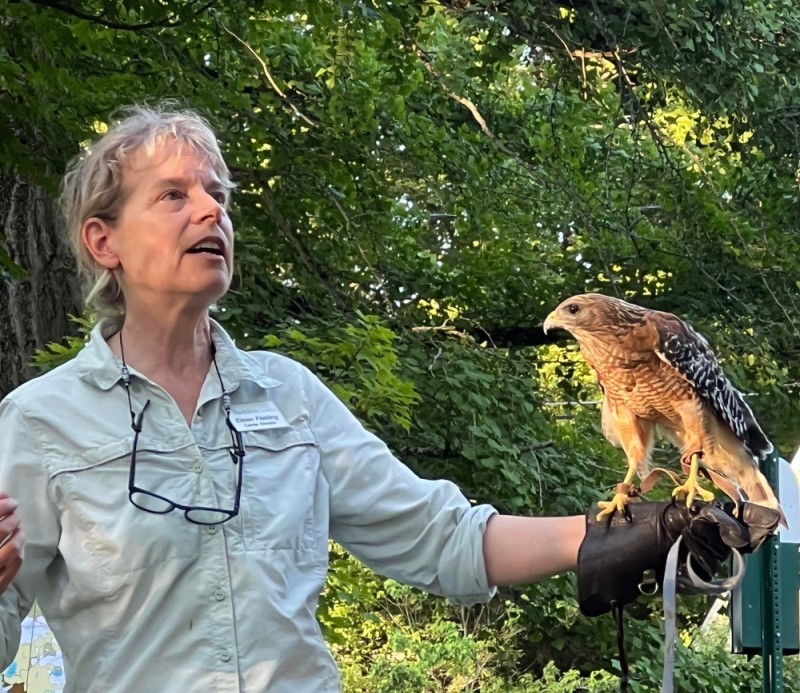 Raptors on the Village Green