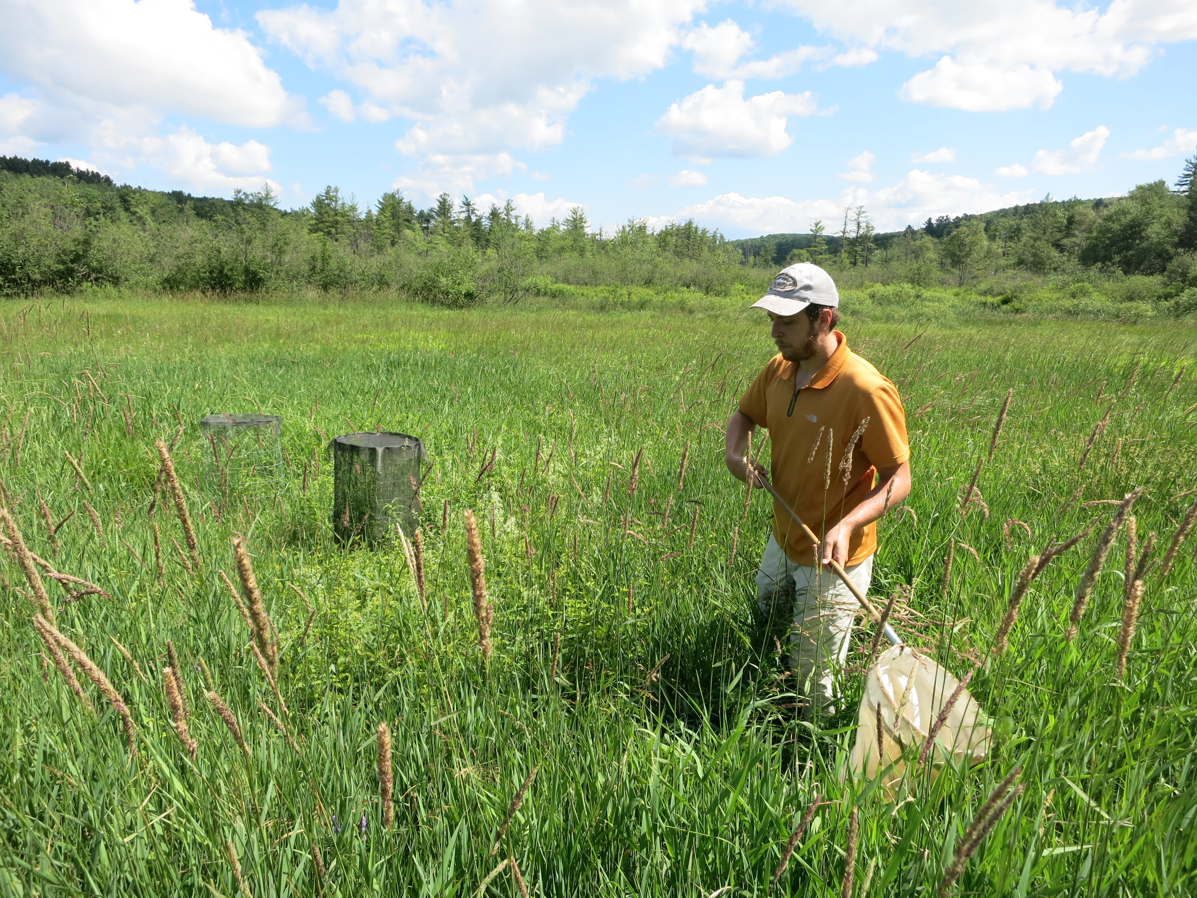 Yale Student Conducts Field Experiments in Norfolk