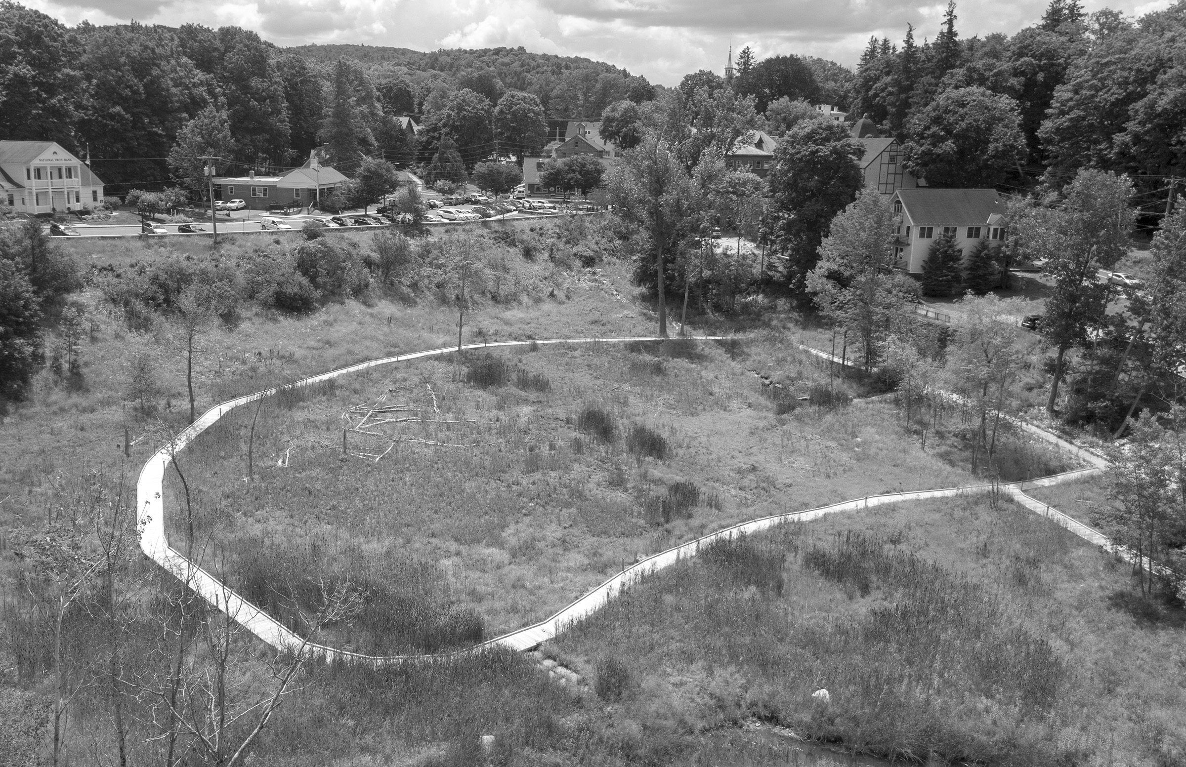 City Meadow Park: Mire to Marsh
