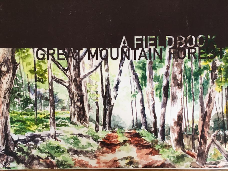 A Field Guide Highlights the History and Beauty of Great Mountain Forest