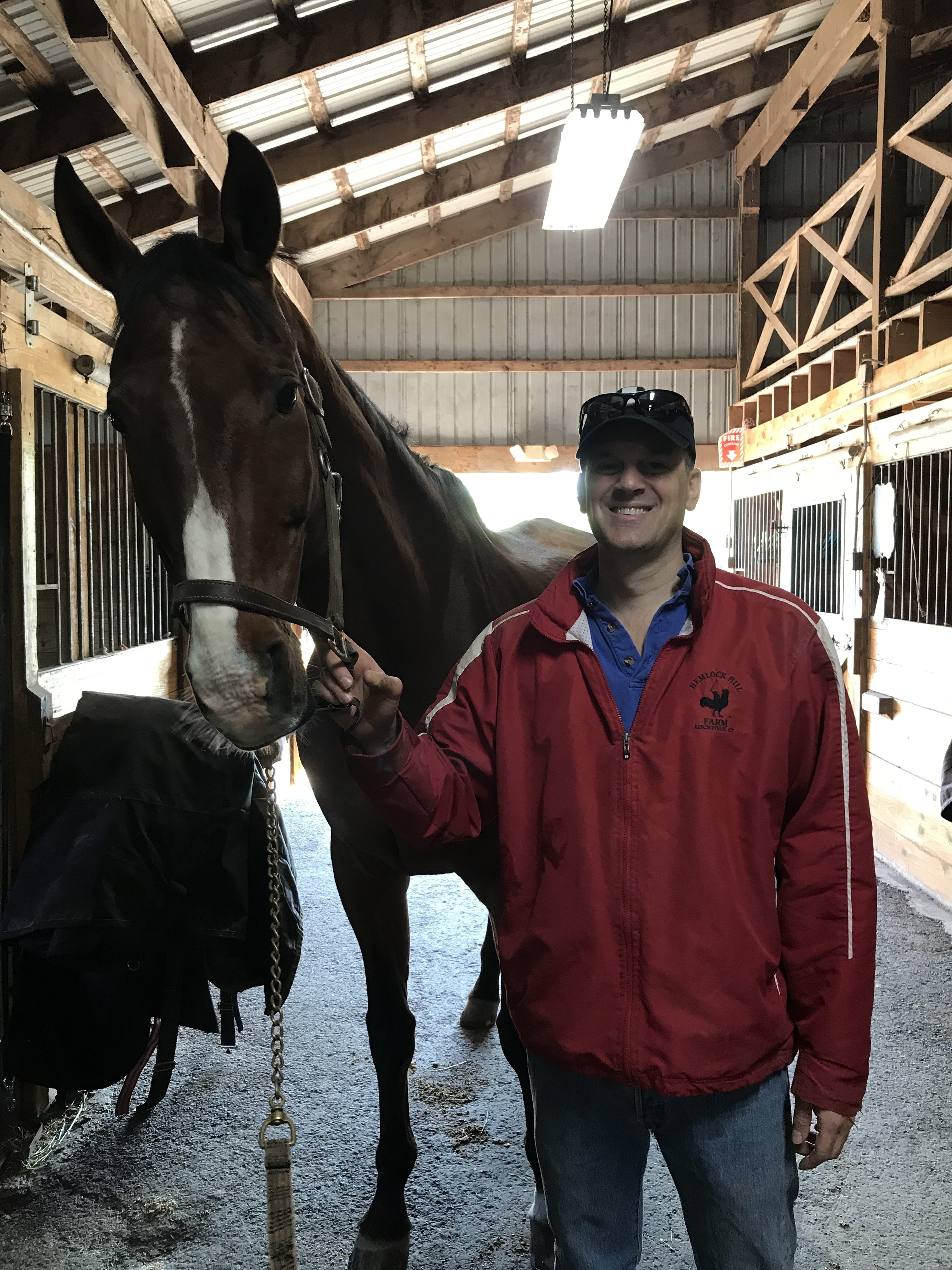 Acupuncture for Horses? Of course!
