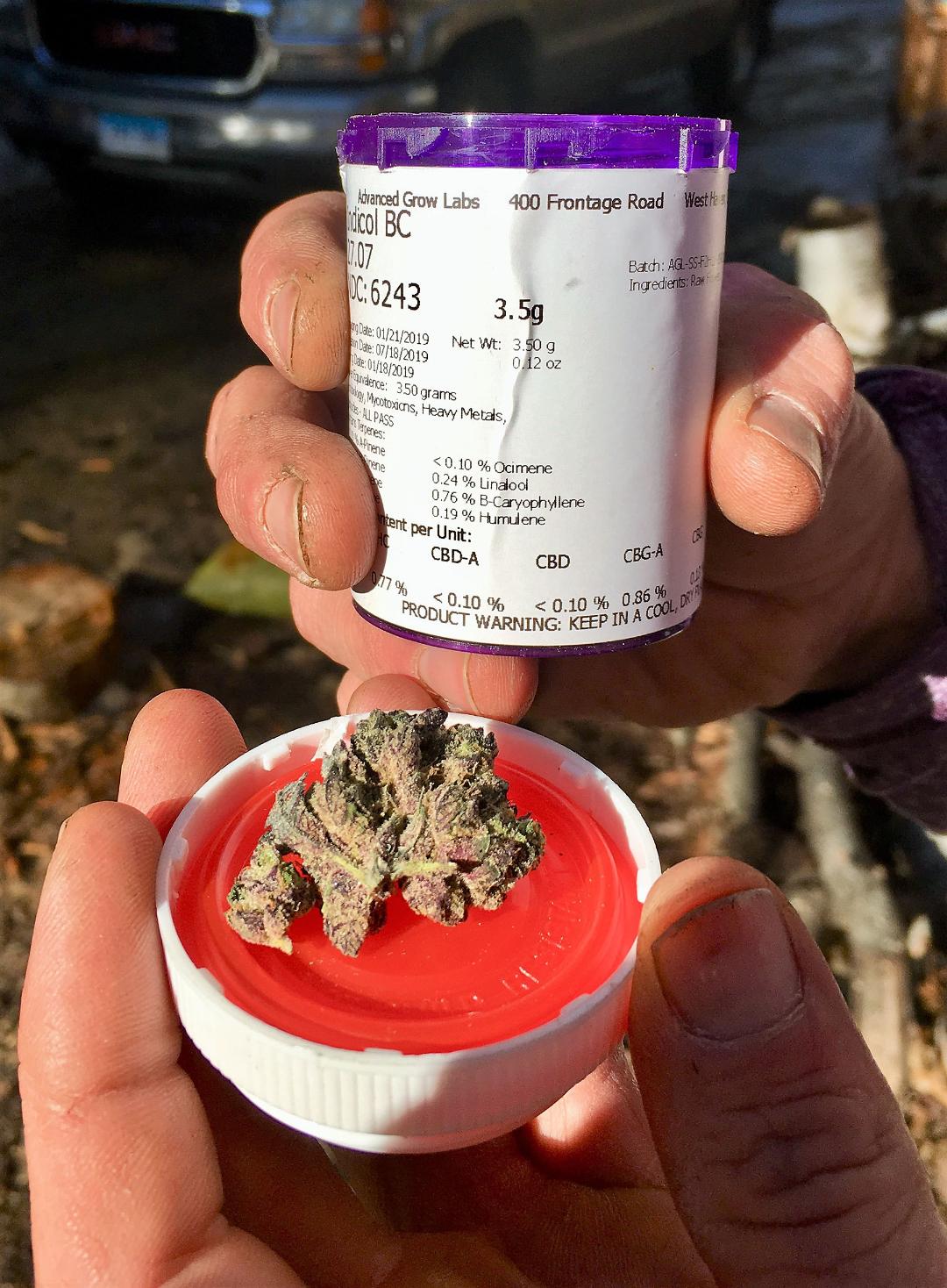 Cannabis: Coming of Age in 2019